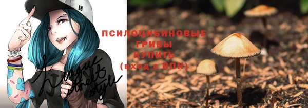 твердый Алексеевка