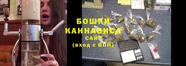 ГАЛЛЮЦИНОГЕННЫЕ ГРИБЫ Алексин