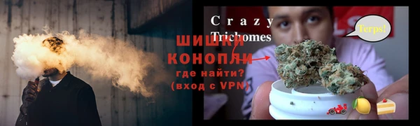 крисы Абдулино