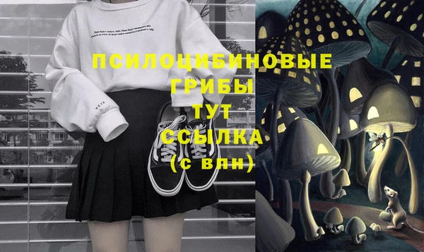дурь Абинск