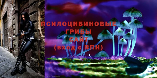 бутик Абаза