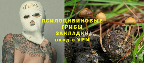 крисы Абдулино