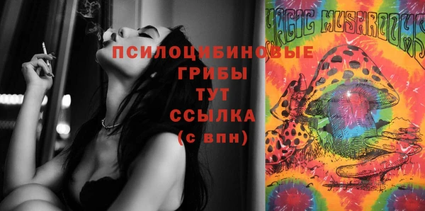 ALPHA PVP Остров