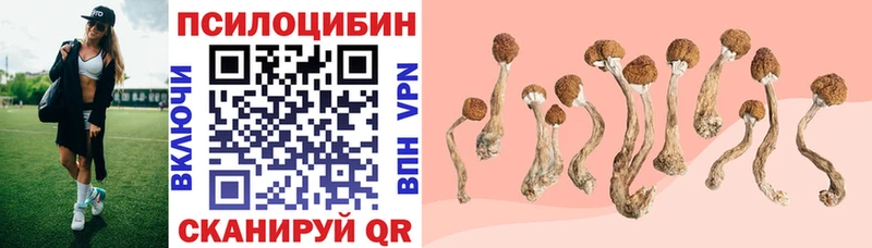 Псилоцибиновые грибы прущие грибы  hydra маркетплейс  Власиха  где можно купить  